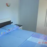 Ante Apartment