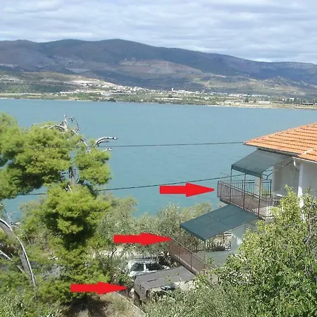 Ante Trogir